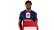 No Way Sport Sticker by Paris Saint-Germain Handball