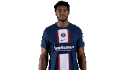 Sport Rage Sticker by Paris Saint-Germain Handball