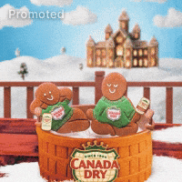 Whats Fizzin GIF by Canada Dry Ginger Ale