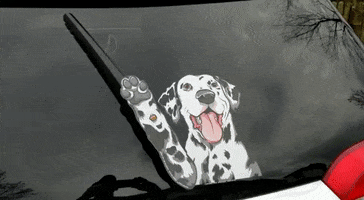 dog waving GIF by WiperTags Wiper Covers