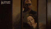 Faint Passout GIF by All Creatures Great And Small