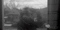 Chicago Fire GIF by Wolf Entertainment