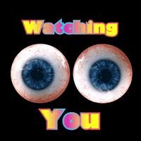 Watching I See You GIF by The3Flamingos