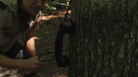 woods exploring GIF by All Get Out