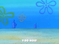 season 1 nature's pants GIF by SpongeBob SquarePants