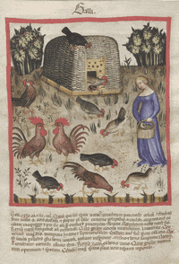 gifitup chicken love is in the air gifitup europeana GIF