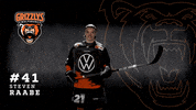 Ice Hockey GIF by Grizzlys Wolfsburg