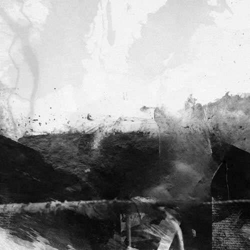 Koi Spartan Race GIF by Spartan Race Philippines