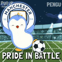Manchester City Football GIF by Pudgy Penguins