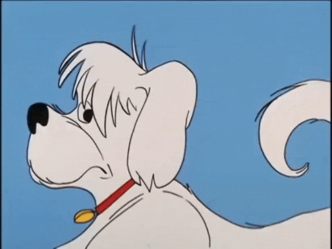 Shocked Dog GIF by Archie Comics