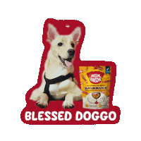 Happy Dog Sticker by Awesome Pawsome Treats