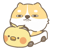 犬 柴犬 Sticker