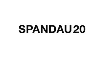 SPND20 dj techno vinyl fjaak Sticker