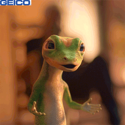 No Way What GIF by GEICO