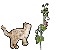 Cat ねこ Sticker by Illustrator.aki