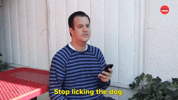 Stop Licking The Dog