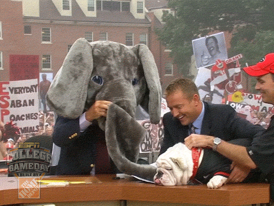 espn alabama GIF by College GameDay