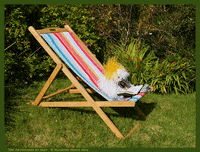 Stop Motion Animation GIF