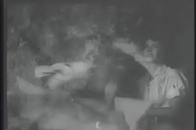 SpookyFlicks giphyupload GIF