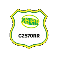 Neo St Sticker by sementestombini