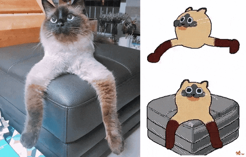 giffunme giphyupload GIF