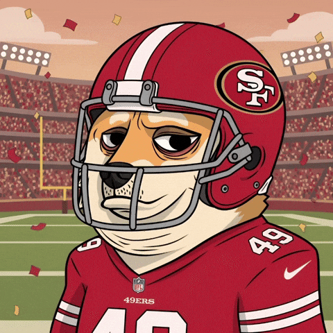 San Francisco 49Ers Football GIF by Doge Pound