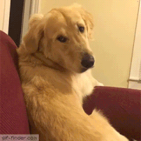crush sits GIF
