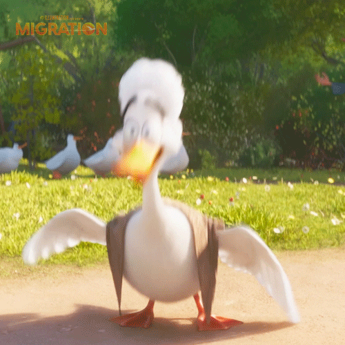 MigrationMovie giphyupload tap duck marriage GIF