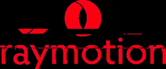 Glitch Logo GIF by raymotion