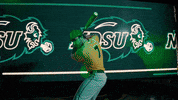 Ndsu Baseball GIF by NDSU Athletics