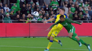 mta kjartansson GIF by IPFL