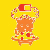 keeppizzaweird pizza energy pepperoni pizzacat GIF