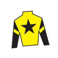 Horse Racing Sticker by Kentucky Derby
