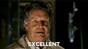 GIF by Giphy QA