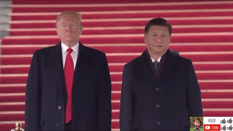 zheng zhi GIF