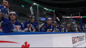 Ice Hockey Player GIF by International Ice Hockey Federation