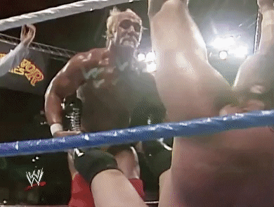 Hulk Hogan Sport GIF by WWE