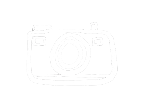 Illustration Photography Sticker