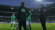 Football Soccer GIF by SV Werder Bremen