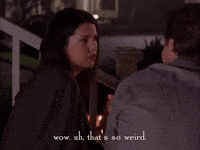 season 2 netflix GIF by Gilmore Girls 