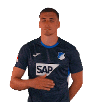 Grischa Prömel Sport Sticker by TSG Hoffenheim