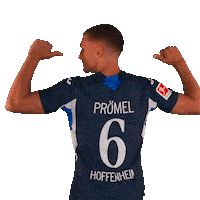 Grischa Prömel Sport Sticker by TSG Hoffenheim