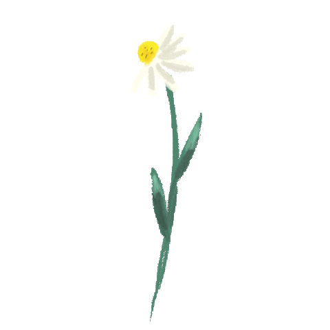 Virtual Bouquet Sticker by Hello Flowers！