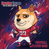 Houston Texans Lol GIF by Doge Pound