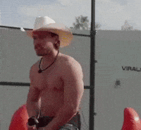 Cowboy Vaquero GIF