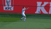 Celebration Bundesliga GIF by Holstein Kiel
