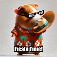 Guinea Pig Fiesta GIF by Guinea Gambino