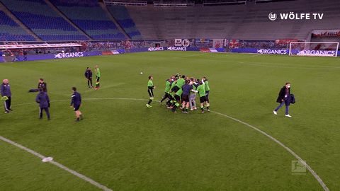 Champions League Party Hard GIF by VfL Wolfsburg