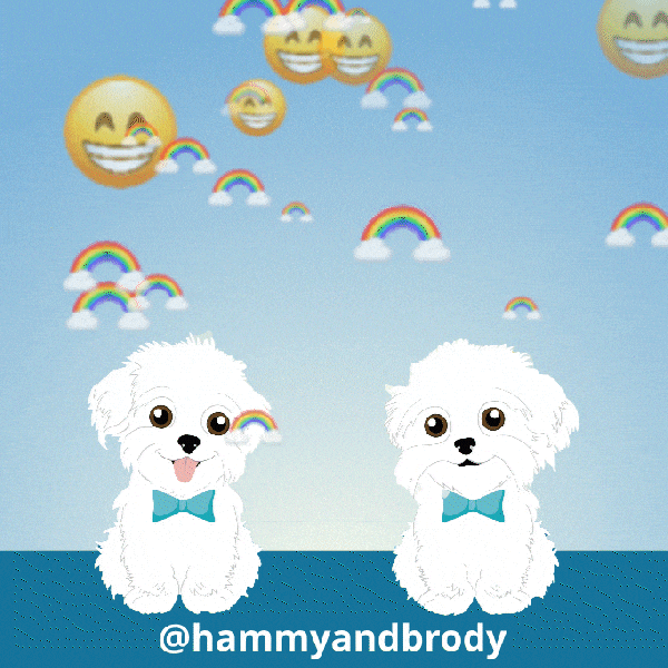 Happy Dog GIF by HammyandBrody