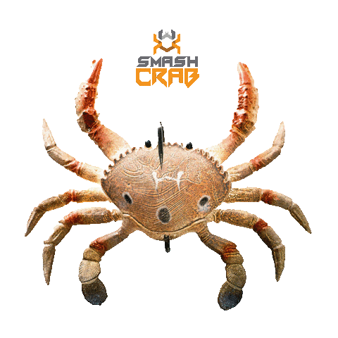 Lure Sticker by Chasebaits